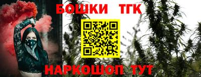 индика Нальчик