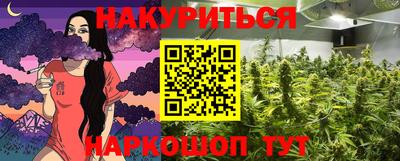 индика Нальчик