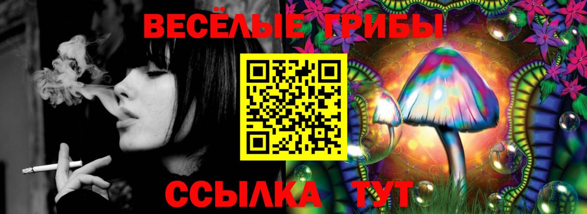 Галлюциногенные грибы Psilocybine cubensis  Вход с VPN  Псилоцибиновые грибы GOLDEN TEACHER  Тулун 